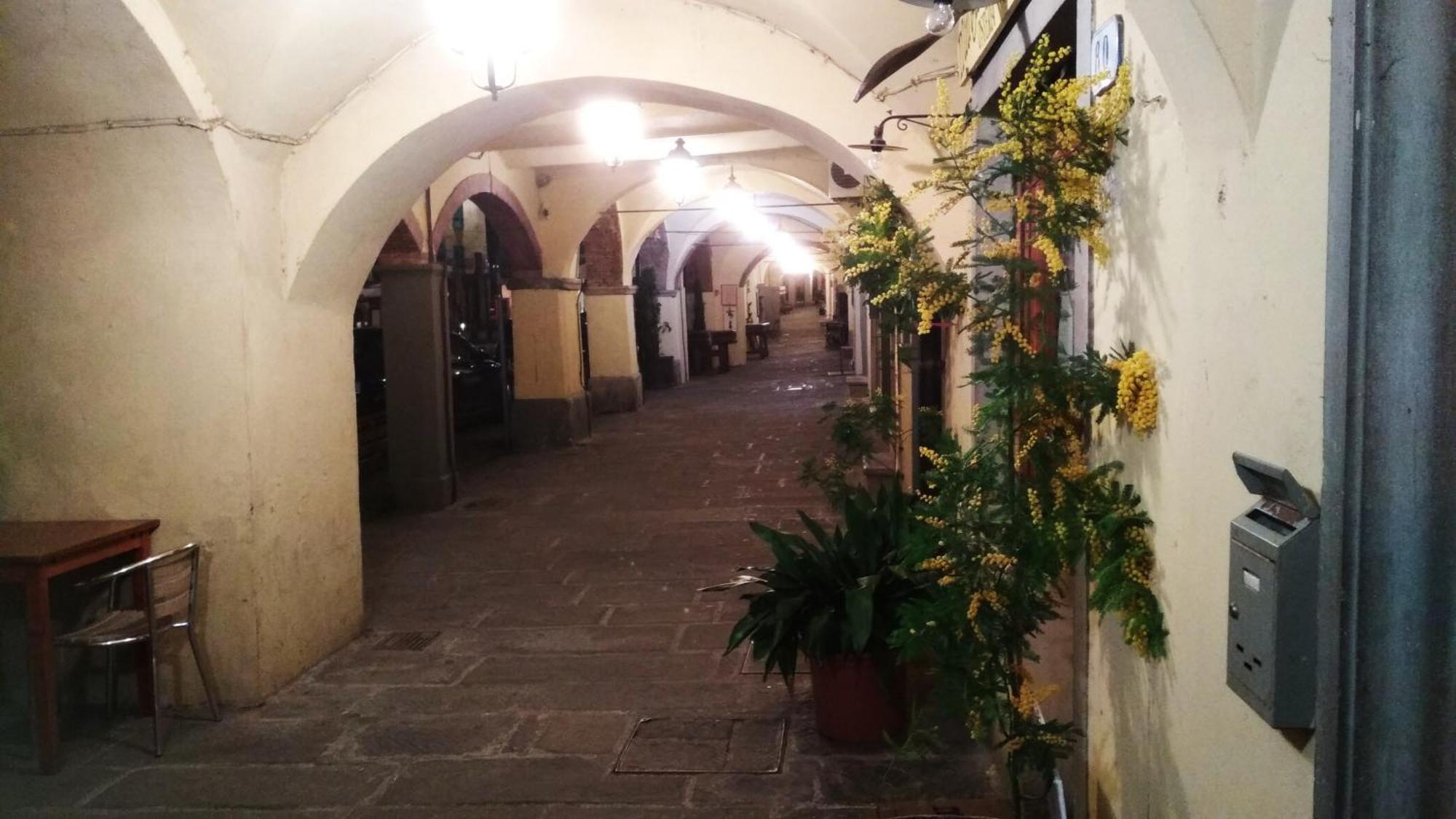 Il Nido Nel Chianti Apartamento Greve in Chianti Exterior foto